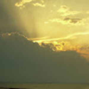 Meet your Posher, Leigh ellen